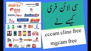 Dscam cccam and mgcamd cline sever