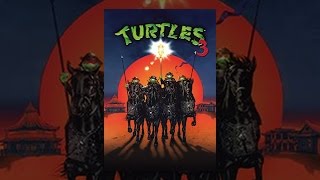 Turtles 3
