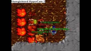 Warlord Arena ED Lvl 81