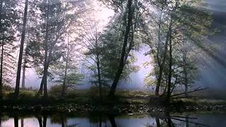 عاشقانه‌: سروده فروغ فرخزاد