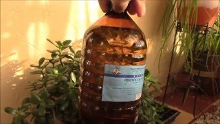Перекись водорода и растения.  Какая связь?