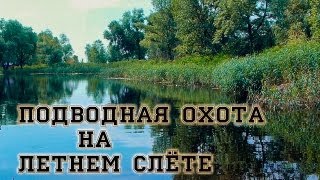 Подводная охота на летнем слете