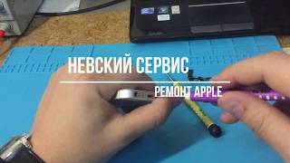 Замена Шлейфа (Передняя камера, микрофон FaceTime, Слуховой динамик, датчик приближения) iPhone 5s