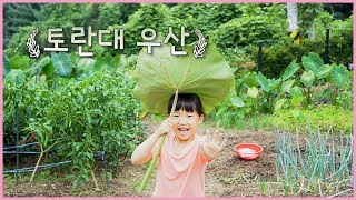 전원 속의 아이들 #3.5 소나기엔 역시 토란대 우산!