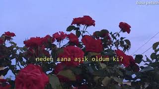 Benny Blanco & Juice WRLD - Roses (Türkçe Çeviri)