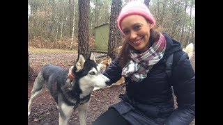 A Jaulnay, découverte du cani kart dans « Les chemins Nathalie »