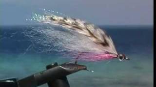 Recommended Tarpon Flies For Southern Belize