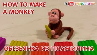 Лепим ОБЕЗЬЯНУ из пластилина | Видео Лепка
