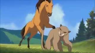 Spirit El Corcel Indomable - Lucha Contra Puma