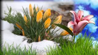 Учим времена года  Зима,весна, лето , осень для малышей