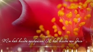 Привет, моя подружка!