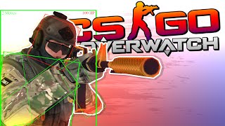 MASTER TROLL! (CS:GO Overwatch)