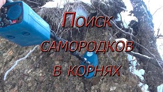 Поиск самородков в корнях металлоискателем!!!