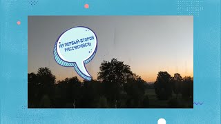 В Свердловской области насекомые «станцевали» на закате — видео