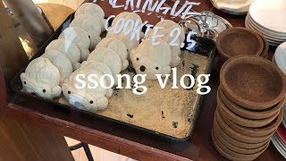 [VLOG] 연남동 나들이, 스탬프커피, 김치밥이 피오씁니다 성공이냐 실패냐, 화장품하울, 먹고 놀고 일하는 집순이 일상, 쏭 브이로그.