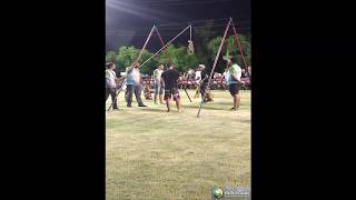 Pit Bull Game Dog (Salto Livre) Pit Bull Salto muito alto