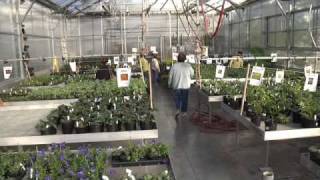 Tech Head TV Hort
