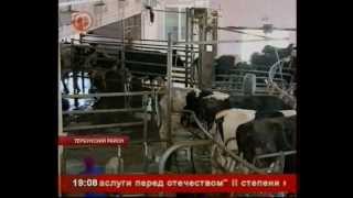 Липецкие фермеры освоят голландские инновации в животноводстве