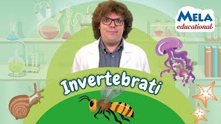 Invertebrati e insetti - RENATO LO SCIENZIATO per la scuola primaria @MelaMusicTV