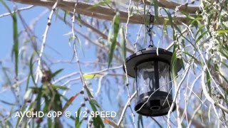 Sony XAVC-S vs AVCHD Quick Comparison