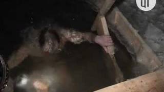 Крещенские купания в Наро-Фоминске