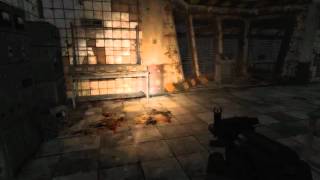 Reborn 2.52 Perehod na Kordon