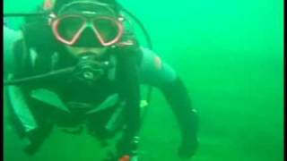 Scuba Diver Girls Crazy Sea Lion Dive!
