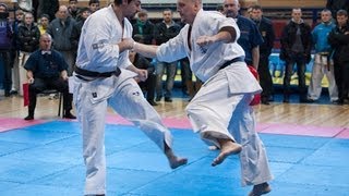 F Лапко Александр (Киев, ака) - Плясовица Владислав (ZP)