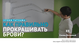 Как прокрашивать брови правильно? #татуаж #татуажбровей
