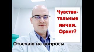 Чувствительные яички. Орхит?