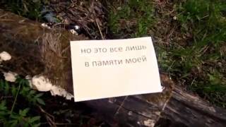 #444 Sr_Maestro[D.M.P] - Конкурс "Рюмка водки на столе"