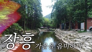 가을옷으로 갈아입은 숲과 산, '장흥' 길따라 가을을 음미해 봐요