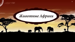 ЖИВОТНЫЕ АФРИКИ для детей от 1 до 3 лет со ЗВУКАМИ. Учим по методике Домана. Развивающий мультфильм