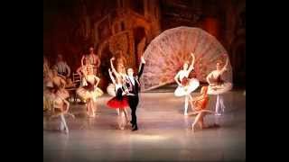 Don Quixote, Grand Pas, LVIV. BALLET. UKRAINE