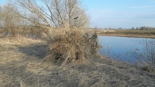 Скрадок для охоты - своими руками! для 2-3 охотниках, за 2000 рублей!