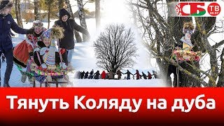 «Тянуть Коляду на дуба» | Необычайные деревни