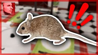 СИМУЛЯТОР КРЫСЫ // ПОЖРАТЬ И УБЕЖАТЬ