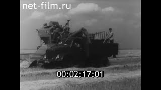 1964г. колхоз Родина Балаковский район Саратовская обл