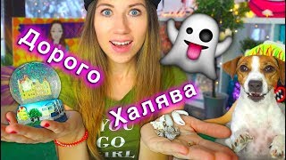 Я Дома ? Мои Трофеи и Необычные Покупки ? Дом из Пленки на Дереве - Что с Ним? | Elli Di