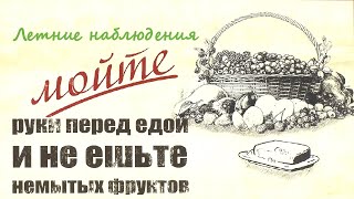 Летние наблюдения ☭ Киев - Советская Украина - УССР ☆ Документальный фильм СССР ☭ Гигиена ☆ 1973