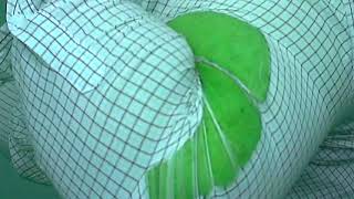 Transformation 15 - The Incredible Bara Hulk (The Original)