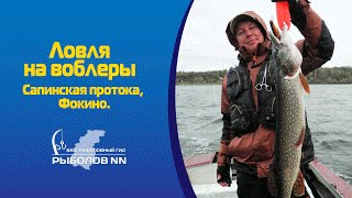 Ловля на воблеры. Сапинская протока, Фокино.