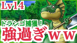 拳Lv14【ドラクエ8実況】魔獣ドランゴを引き連れバトルドーm…バトルロードGランク攻略へ！