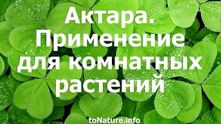 Актара. Применение для комнатных растений