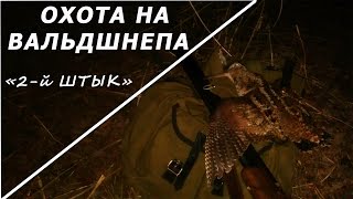 Охота на вальдшнепа. " 2-й  штык"
