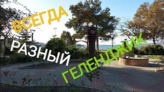 ВСЕГДА РАЗНЫЙ ГЕЛЕНДЖИК Норд-Ост ноябрь 2018