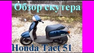 Обзор скутера Honda Tact 51