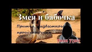 Змея и бабочка.  Притча неизвестного происхождения.  Читает не профи.  Роман FISHKA
