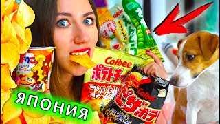 ЧИПСЫ ИЗ ЯПОНИИ ПОПРОБУЙ НЕ ЗАПИВАЙ ЧЕЛЛЕНДЖ ОБЗОР ЕДЫ ЯПОНСКАЯ ЕДА | Elli Di