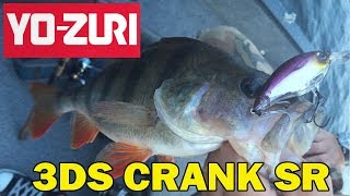 Воблер Yo Zuri 3DS CRANK SR